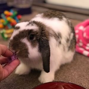 Meet your Posher, Nga